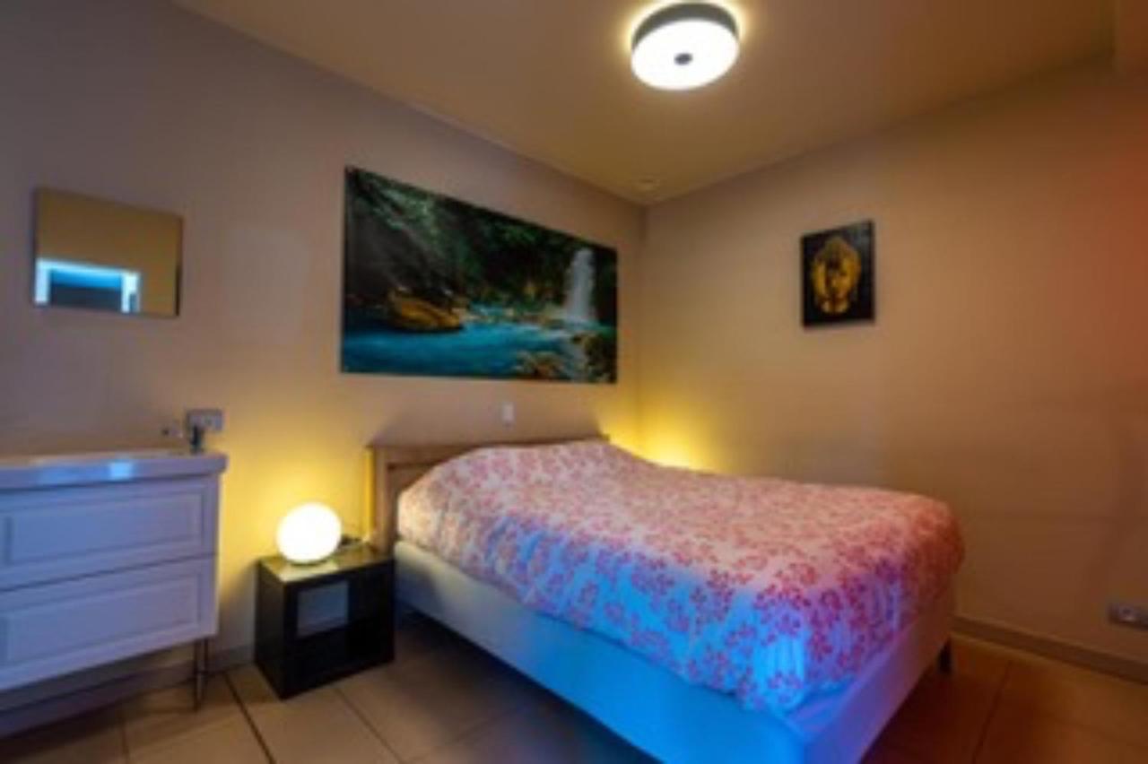Vlaamse Ardennen Vakantiehuis Casa Caliente Met Wellness Avelgem Exteriör bild