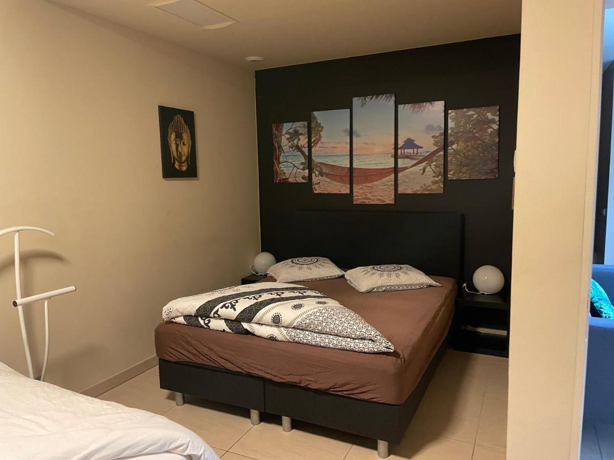 Vlaamse Ardennen Vakantiehuis Casa Caliente Met Wellness Avelgem Exteriör bild